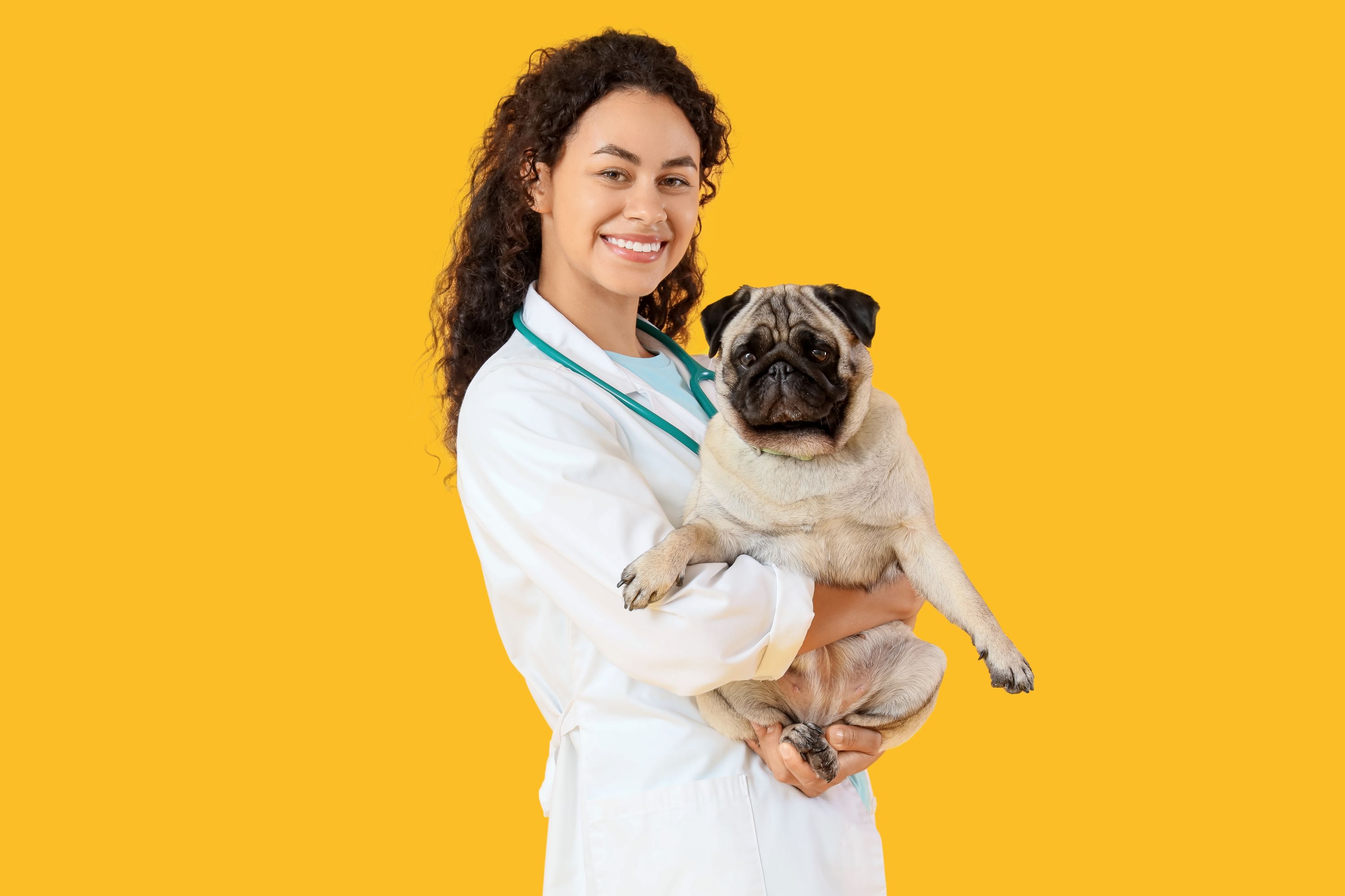 Vet Shutterstock 2617624735