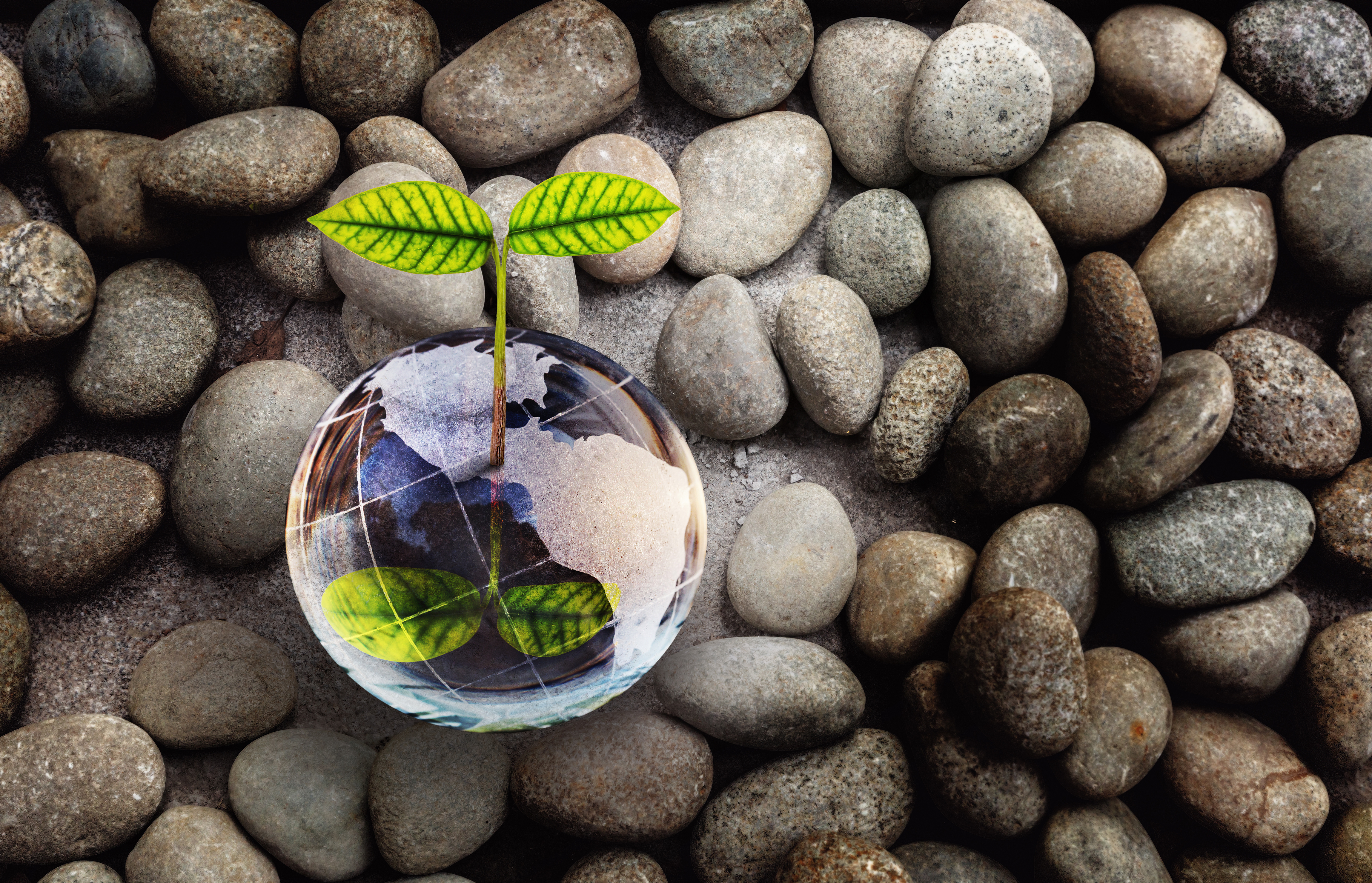 Environmentally Friendly Shutterstock 2004139322